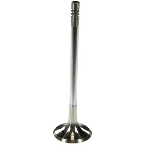 Melling Engine Exhaust Valve P/N:V5805S Fits: Audi A4, Audi A4 Quattro, Audi A6 Quattro, Audi Allroad Quattro, Audi S4, Audi Tt, Audi Tt Quattro, Volkswagen Beetle, Volkswagen Golf, Volkswagen Jetta, Volkswagen Passat - Image 1