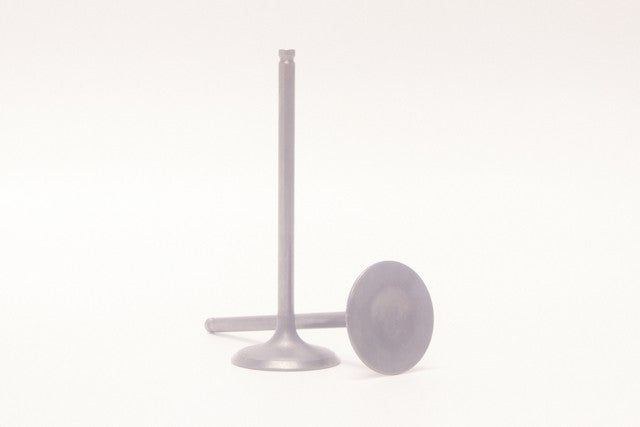 Safety Auto Parts Corp Engine Intake Valve P/N:VN20-111 Fits: Suzuki Grand Vitara 13-09, Suzuki Kizashi 13-10 - Image 1