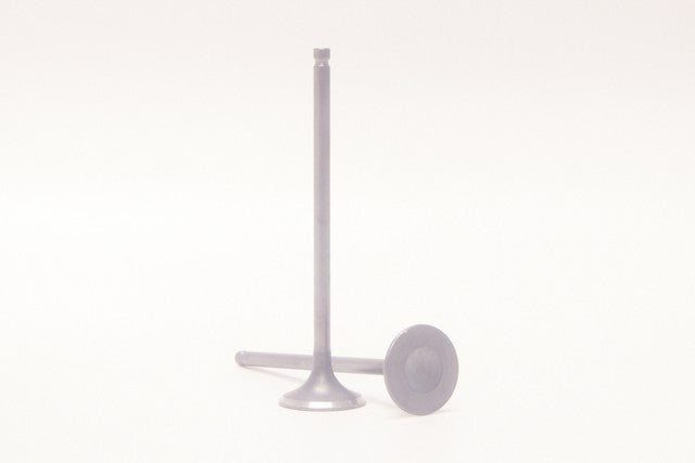 Safety Auto Parts Corp Engine Exhaust Valve P/N:VX11-115 Fits: Nissan Versa 11-09 - Image 1