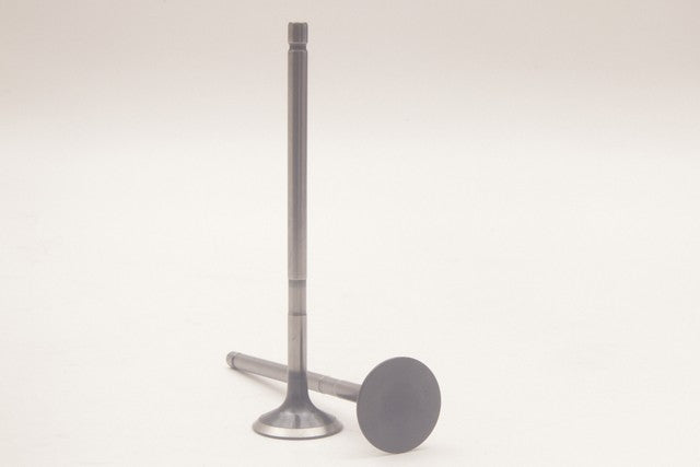 Safety Auto Parts Corp Engine Exhaust Valve P/N:VX24-108 Fits: Lexus Is250 15-06 - Image 1