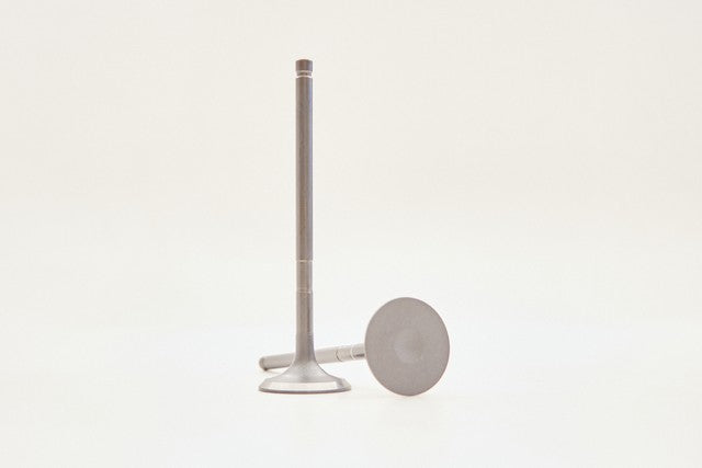 Safety Auto Parts Corp Engine Exhaust Valve P/N:VX25-263 Fits: Ford Focus 17-13 - Image 1