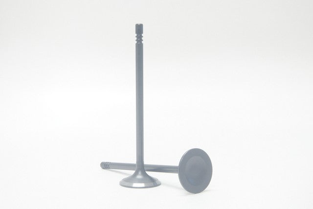 Safety Auto Parts Corp Engine Exhaust Valve P/N:VX25-330 Fits: Ford F-150 2021 - Image 1