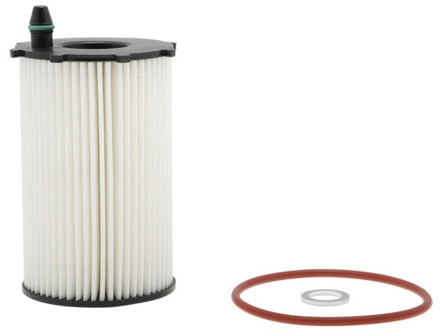 FRAM Engine Oil Filter P/N:XG10855 Fits: Hyundai Azera 17-12, Hyundai Santa Fe 18-10, Hyundai Santa Fe Xl 19-13, Kia Cadenza 16-14, Kia Sedona 12-11, Kia Sedona 18-14, Kia Sorento 18-11 - Image 4
